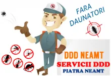 Piatra Neamt - DDD NEAMT SRL