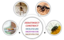 Galati - DERATINSECT CONSTRUCT SRL