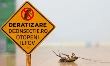 Deratizare Dezinsectie Otopeni