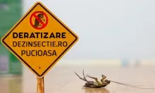 Deratizare Dezinsectie Pucioasa