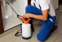 Deratizare Dezinsectie Alba Iulia IGIENA SERV