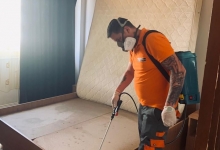 Deratizare Dezinsectie Cluj-Napoca DDD Nord