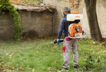 Deratizare Dezinsectie Bacau DDD Nord