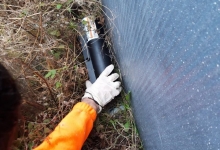 Deratizare Dezinsectie Bacau DDD Nord