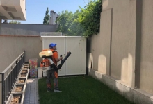 Deratizare Dezinsectie Cluj-Napoca DDD Nord