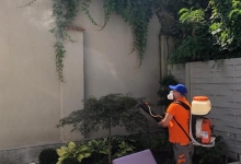 Deratizare Dezinsectie Cluj-Napoca DDD Nord