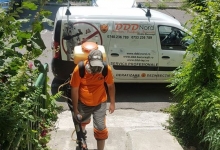 Deratizare Dezinsectie Cluj-Napoca DDD Nord