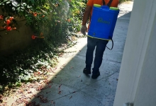 Deratizare Dezinsectie Bacau DDD Nord