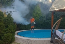 Deratizare Dezinsectie Cluj-Napoca DDD Nord