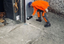 Deratizare Dezinsectie Bacau DDD Nord