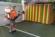 Deratizare Dezinsectie Bacau DDD Nord