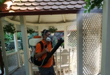 Deratizare Dezinsectie Cluj-Napoca DDD Nord