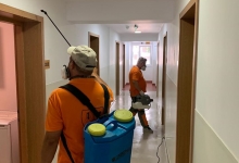 Deratizare Dezinsectie Bacau DDD Nord