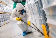 Deratizare Dezinsectie Tulcea IGIENA SERV