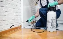 Deratizare Dezinsectie Galati DERATINSECT CONSTRUCT SRL