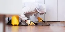 Deratizare Dezinsectie Ramnicu Valcea IGIENA SERV