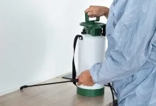 Deratizare Dezinsectie Roman IGIENA SERV