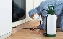 Deratizare Dezinsectie Reghin IGIENA SERV