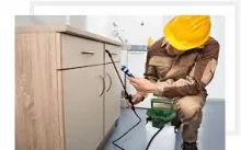 Deratizare Dezinsectie Bistrita IGIENA SERV