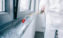 Deratizare Dezinsectie Pitesti IGIENA SERV