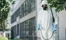 Deratizare Dezinsectie Tecuci DERATINSECT CONSTRUCT SRL