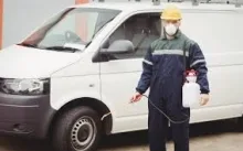 Deratizare Dezinsectie Giurgiu IGIENA SERV
