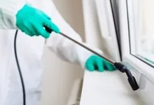 Deratizare Dezinsectie Bailesti IGIENA SERV