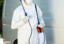 Deratizare Dezinsectie Aiud IGIENA SERV