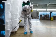 Deratizare Dezinsectie Dorohoi IGIENA SERV