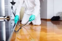 Deratizare Dezinsectie Dej IGIENA SERV