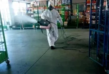 Deratizare Dezinsectie Beclean IGIENA SERV