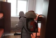 Deratizare Dezinsectie Voluntari Deratizare Dezinsectie Voluntari - IGIENA SERV