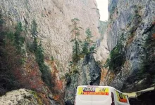 Deratizare Dezinsectie Rasnov Deratizare Dezinsectie Rasnov - IGIENA SERV