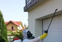 Deratizare Dezinsectie Otelu rosu  Deratizare Dezinsectie Otelu Rosu - Cristal Gesmina