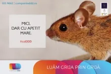 Deratizare Dezinsectie Domnesti Compania DDD® Domnesti - Dezinsectie, Dezinfectie, Deratizare