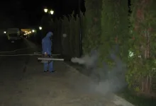 Deratizare Dezinsectie Breaza IGIENA SERV