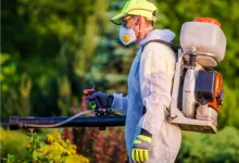 Deratizare Dezinsectie Ovidiu IGIENA SERV
