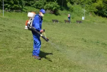 Deratizare Dezinsectie Breaza IGIENA SERV