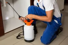 Deratizare Dezinsectie Recas IGIENA SERV