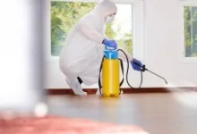 Deratizare Dezinsectie Fieni IGIENA SERV