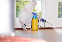 Deratizare Dezinsectie Bucuresti-Sector 6 Deratizare Dezinsectie Sector 6 - IGIENA SERV