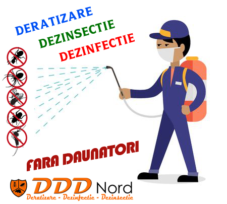 deratizare dezinsectie bacau deratizare dezinsectie bacau