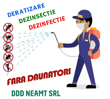 deratizare-dezinsectie-neamt