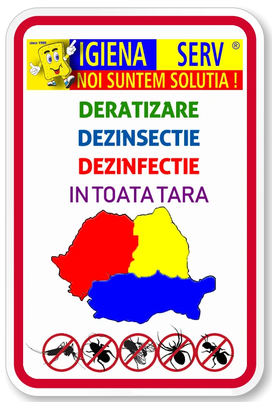 servicii ddd romania
