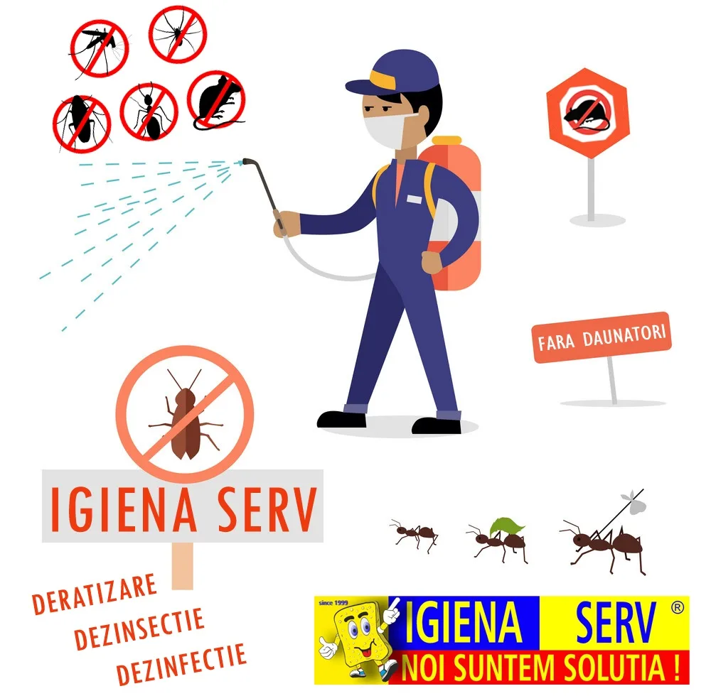 dezinsectie dezinfectie deratizare