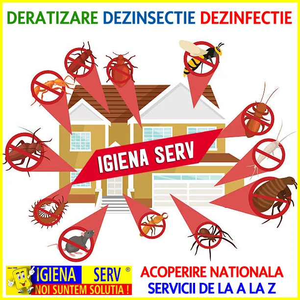 deratizare dezinsectie 