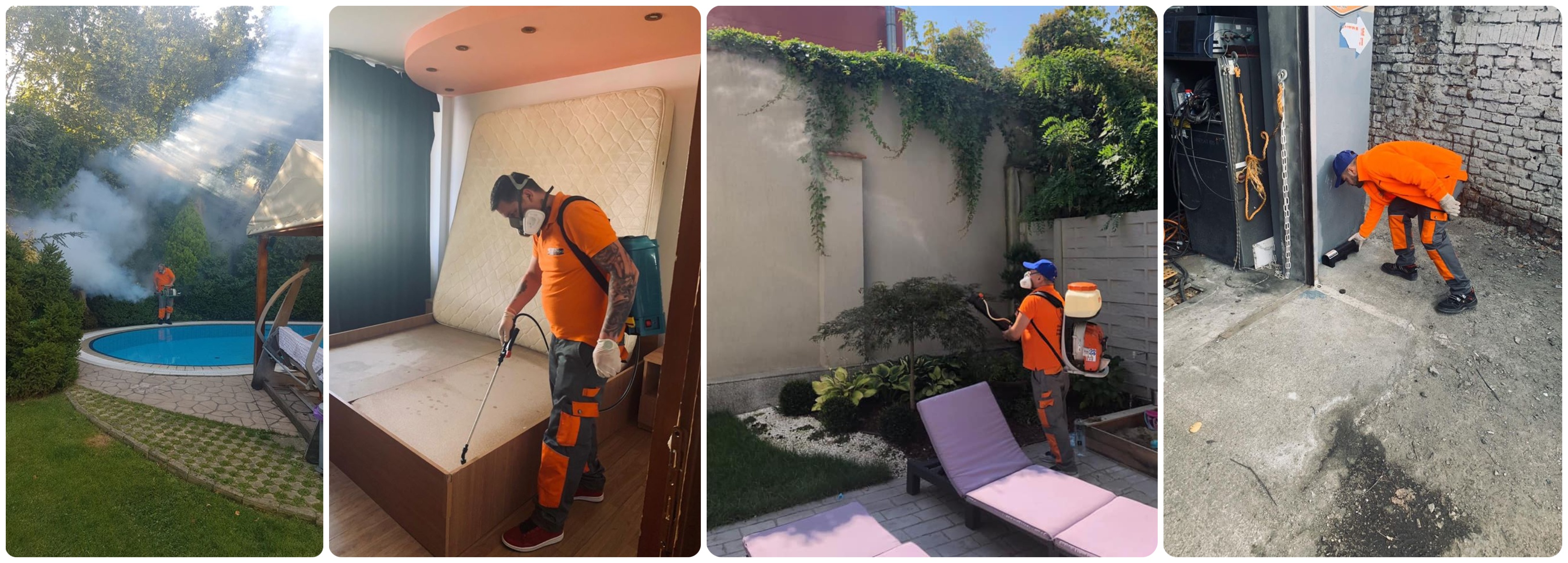 servicii deratizare dezinsectie dezinfectie bacau servicii deratizare dezinsectie dezinfectie bacau