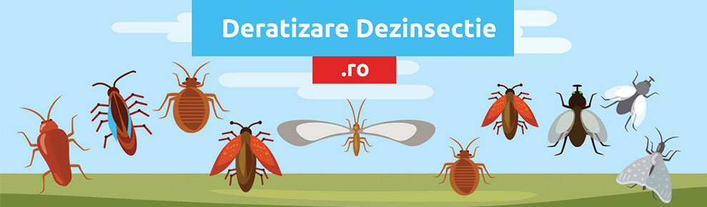 Doresc promovare pe website